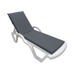 Gultas Asir Sunny, pilkas