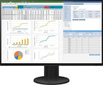 Eizo EV2457-BK 24.1" WUXGA IPS 60Hz 350cd/m2