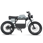 Elektrinis dviratis Ape Ryder Gibbon 20", Nardo pilkas