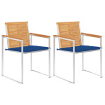 Sodo kėdės su pagalvėlėmis, 2vnt., tikmedžio masyvas ir plienas