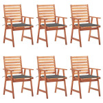 Lauko valgomojo kėdės su pagalvėlėmis, 6vnt., akacija