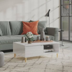 Kavos staliukas, baltas, 90x60x35cm, apdirbta mediena, blizgus