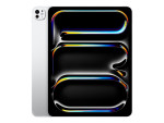Apple 13-inch iPad Pro M5 Wi-Fi + Cellular 256GB with standard glass - Silver | Apple