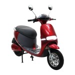 Elektrinis motoroleris mopedas MS-05 GOGO 1000W