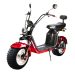 Elektrinis motoroleris CITYCOCO CP-1 MAX EEC (16")