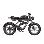 DUOTTS F20 galingas elektrinis dviratis su 750W varikliu