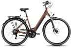 Elektrinis dviratis ProEco, 28", rudas/juodas