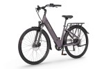 Elektrinis dviratis Ecobike X-City 28", rudas