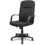 Piqueras ir Crespo Foröl Modelis Ergonomiška biuro kėdė su pakreipimo mechanizmu ir aukščio reguliavimu – Apmušalas