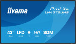 IIYAMA 43" LED