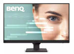 24 colių BenQ GW2490 Full HD 100Hz ekranas (juodas)