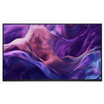 Dell Pro Plus P2425HE without stand 23.8" FHD IPS 100Hz 250cd/m2 USB-C Hub