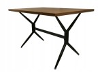 Stalas Elin, 140x80x75 cm, rudas