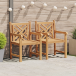 Sodo Kėdė 2 pcs Ruda 58 x 60 x 90 cm Kieta tikmedžio mediena