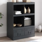 vidaXL Komoda, antracito spalvos, 67x39x95cm, plienas